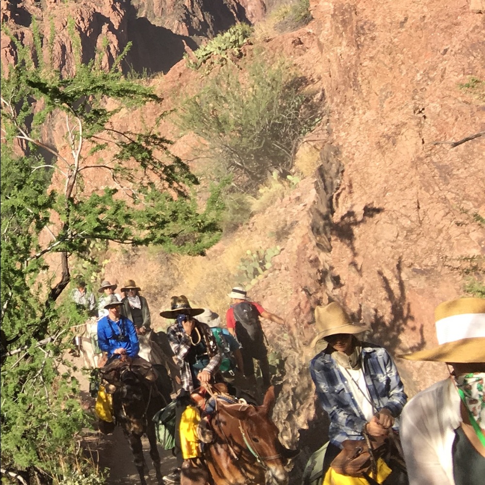 Meet your Posher, Melissa